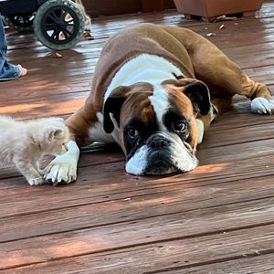 Meet your Posher, Lana